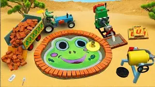 DIY Science Project: Building Frog-Shaped Swimming Pool with Cement & Modern Pumps