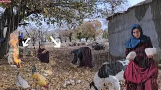 Khadija's efforts to prevent water from entering the hut and her concerns