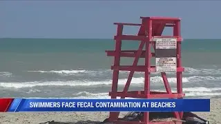 Swimmers face fecal contamination at beaches
