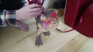 FlashPool Production - Hot Wheels Movie