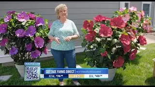 LOCAL STEALS & DEALS - Cottage Farms Direct