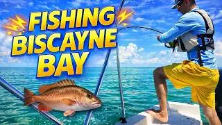 &ldquo;Biscayne Bay Family Fishing | Turkey Point Channel Miami Florida&rdquo;