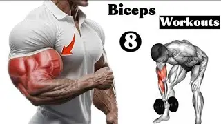Top 8 Best Workouts ever for Bigger Biceps || at Gym