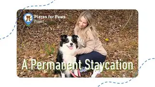 A Permanent Staycation: I Found My Best Friend on a Shelter Dog Walk!