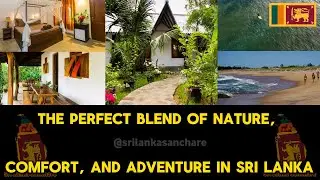 Forcus Cabanas | Arugam Bay | Sri Lanka | Best Hotel | Beauty Hotel | Hotels | Budget Hotels