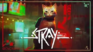 Stray | Full Game Highlights