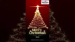 🎄✨ Merry Christmas from Web Development Institute! 🎅🎁