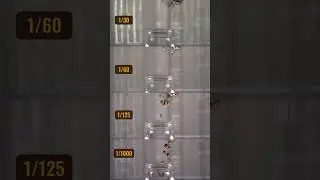 La regla mas importante para grabar videos fluidos