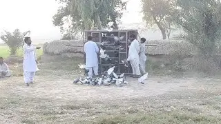 89 Catched Only In 17 Mnts Competition Big Punjab kabtoor Bazi Competition