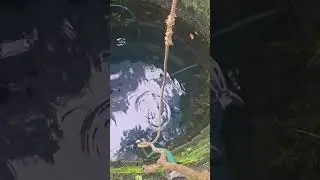 #lorryudamamanaf