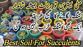 How to use waste material , plastic bottles & Fiber Pot in your garden. Best Soil Mixture For Plants