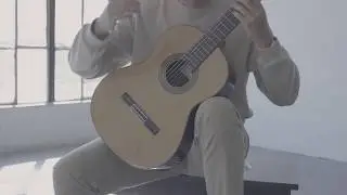 Altamira N300 Guitar | Product Demonstration