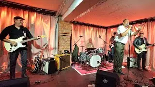 Brian Templeton Blues Band (USA/I/BE), Bischofsm&uuml;hle Hildesheim, 26.9.2025 