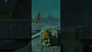 Don't wake the sleeping Aerocuda... #shorts #zelda #totk