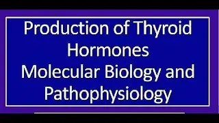Natural Thyroid Toolkit Part One
