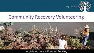 The Different Types of Volunteer Roles