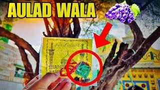 AULAD WALA FAL - yaha milta hai / Ajmer dargha Vlog #dargha #ajmerdargha