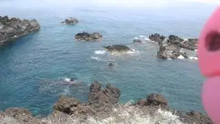 Beautiful nature of La Palma
