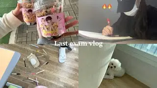 Vlog. 중3 마지막 시험기간 브이로그 | 순공10시간 • 공부 • 시험 • 기말 • 10 • 일상 • 브이로그