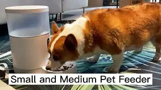 Automatisk hundemater- og kattemat dispenser hos tekshop.no