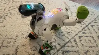 My Aibo ERS-7 Is Back!!