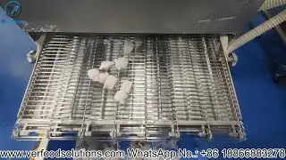 VERFOODSOLUTIONS Chicken Bite Flouring Machine with Air Flow System Test for Italian Customer