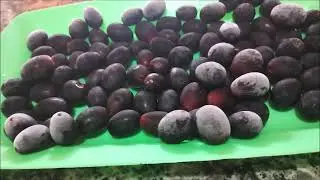 Frozen grapes for summer