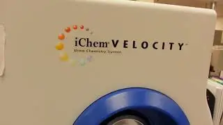 IRIS URINANALYSIS SYSTEM