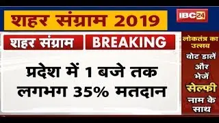 CG Urban Body Elections 2019: प्रदेश में अब तक हुए इतने प्रतिशत Vote | देखिए