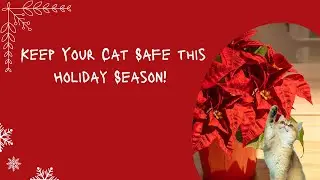 Holiday Hazards: Beware of Toxic Plants for Cats! 🚫🌿