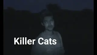Mountain Monsters in search of a 