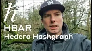 Hedera Hashgraph HBAR - Looking ahead into 2021
