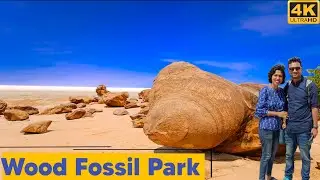 Wood Fossil Park Dholavira | Rann of Kutch Gujarat Tourism | Dholavira  Ancient Harrapan City