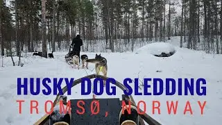 🇳🇴 Husky dog sledding, Troms&oslash;