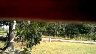 J&J tree service dropping hickory