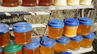 Natural Honey Tasting and it's Benefits in Georgia | Exploring Georgia
