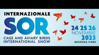 Mostra Ornitologica Modena, speciale Gloster.