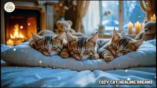 Cat lullaby for kittens with anxiety 😽Relaxing music for cats 10 hours