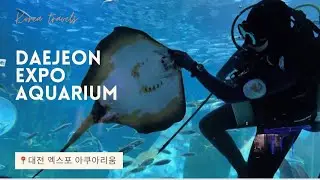 대전 엑스포 아쿠아리움ㅣDaejeon Expo Aquarium