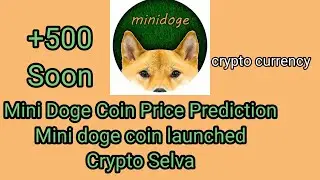 Mini doge coin next 1000X | mini doge coin price prediction | Crypto Selva