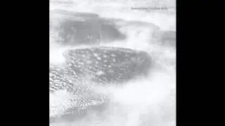 Positive Centre - No Need For Narration [Our Circula Sound]