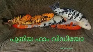 പാലക്കാട്‌ പുതിയ ഫാം വീഡിയോ