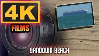 Sandown Bay