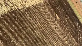 Mastering Garden Beds: Ridges, Furrows, and Efficient Planting and Irrigation Technique