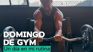 Como es ir al gym un DOMINGO.