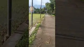 Suasana dsn sawahan ds pugeran Gondang mojokerto