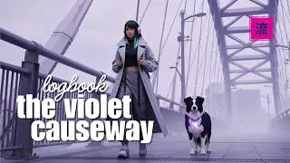 Book I: The Violet Causeway Full Album Mix ⛩️ Chill Lofi Music - Focus & Flow State 🎧 Nami Lore S1