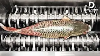 Most Insane Shredding Machines That Destroy Everything! | Discover Tech - US #91