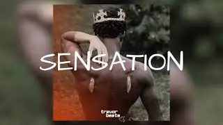Joeboy x Showdemcamp Type beat 2025 