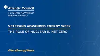 The role of nuclear in net zero